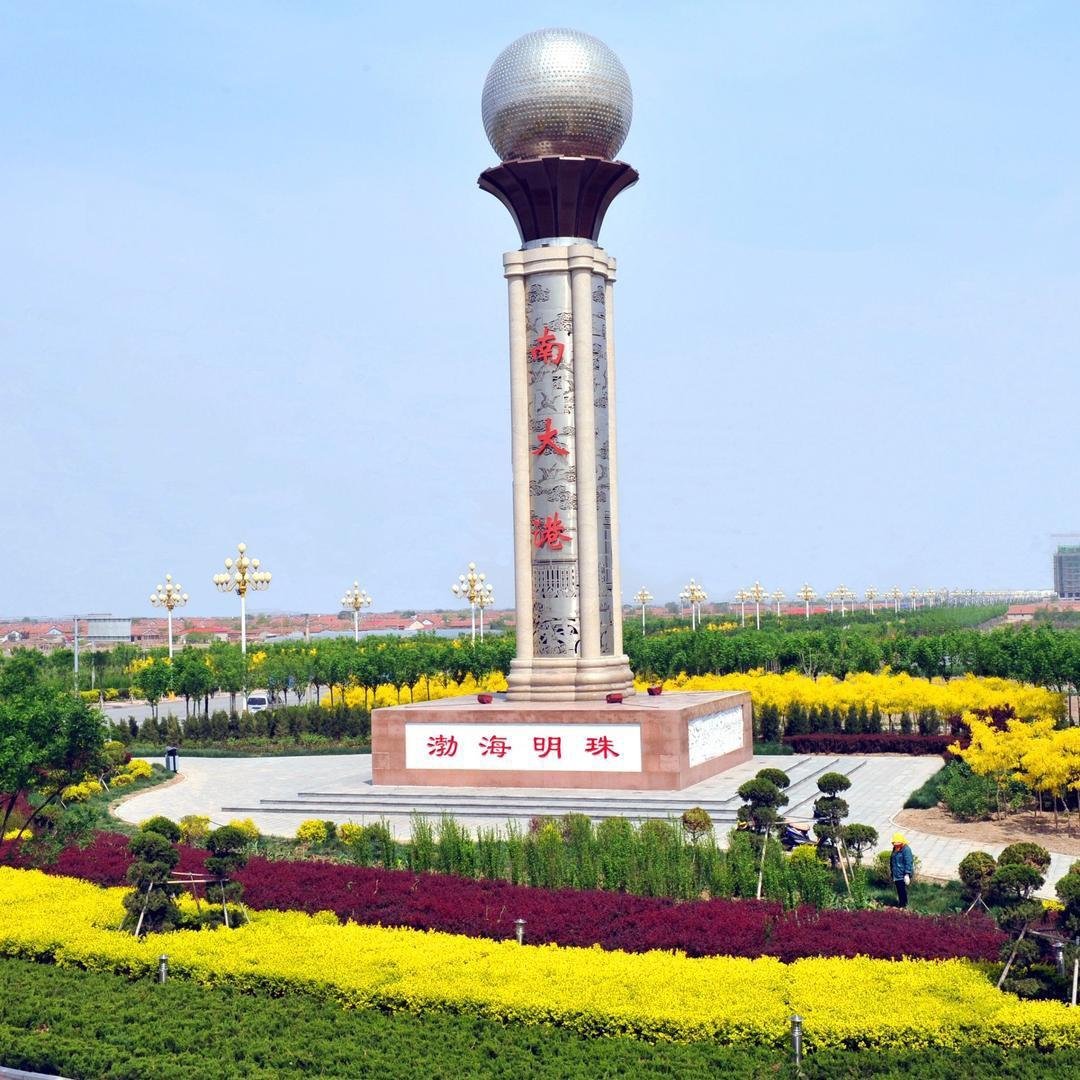 聚焦南大港