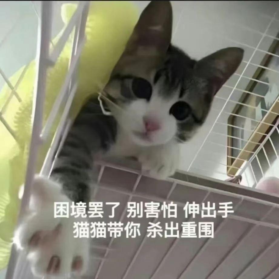 阿玲