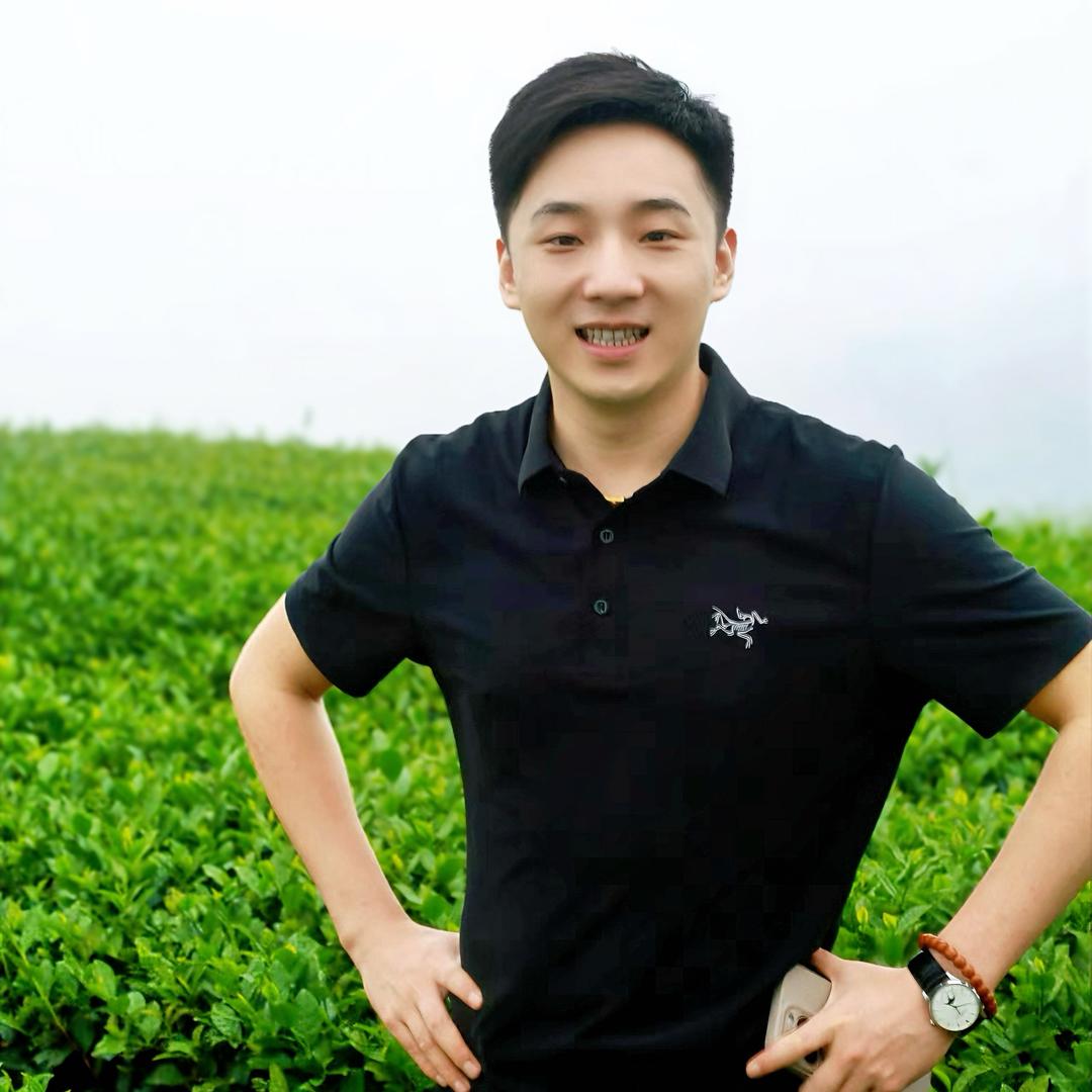 磊磊茶叶