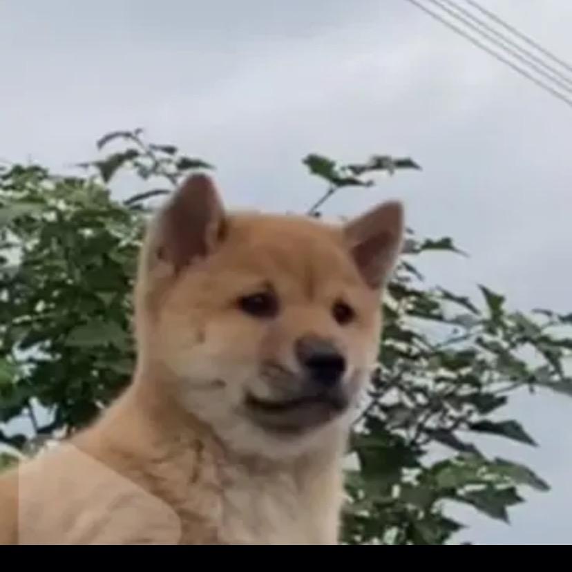 没有称呼的老男孩