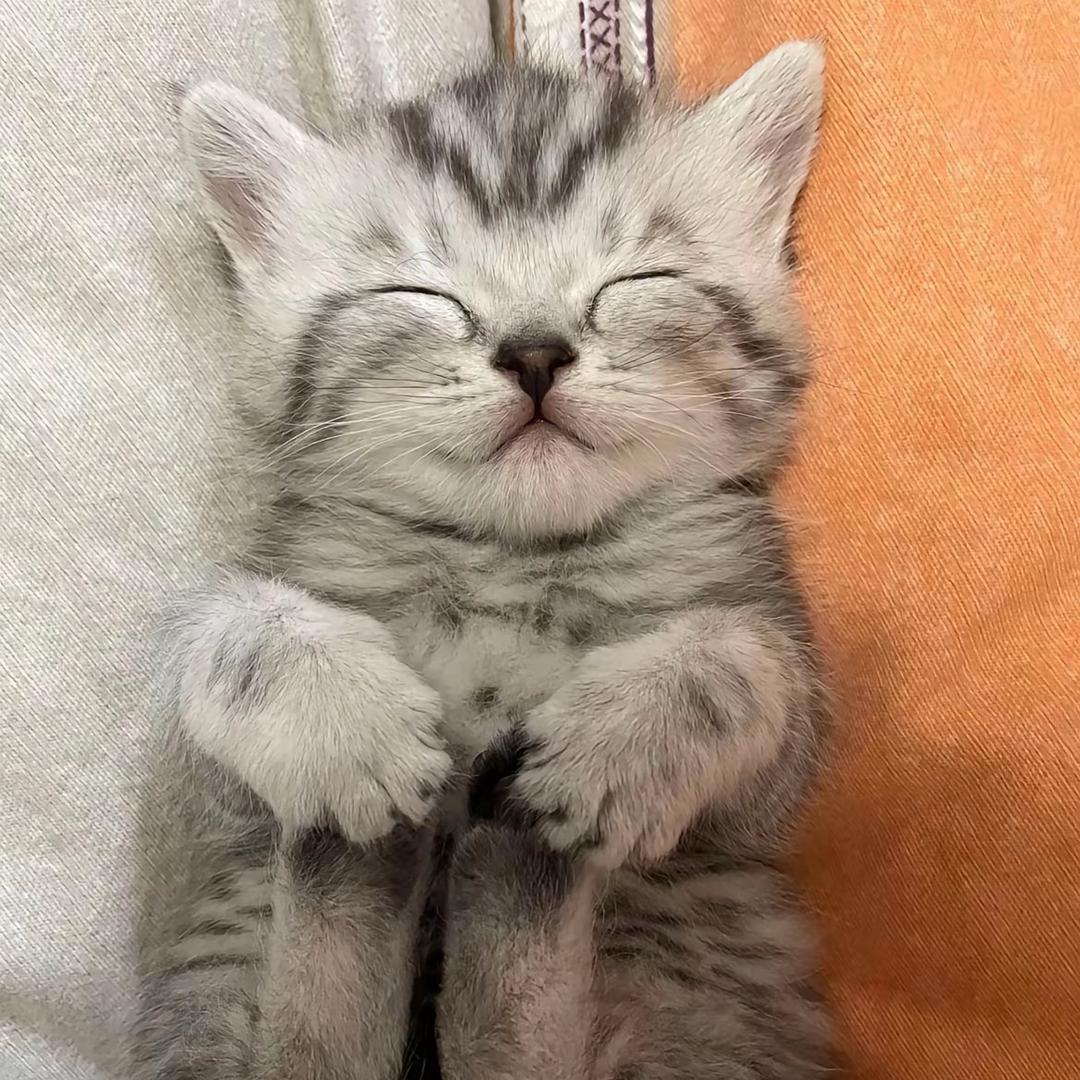 软糖懒大王Наталья🦄🍬🍭😽