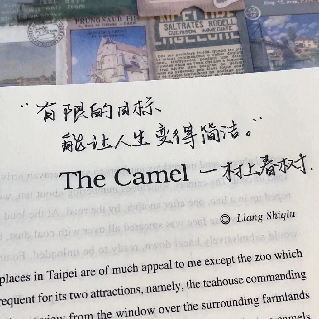 窥荷
