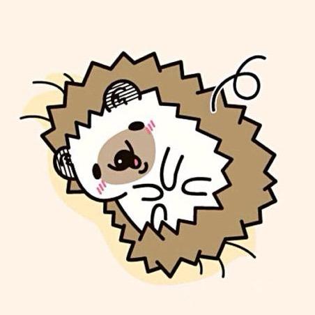 棘手的熊