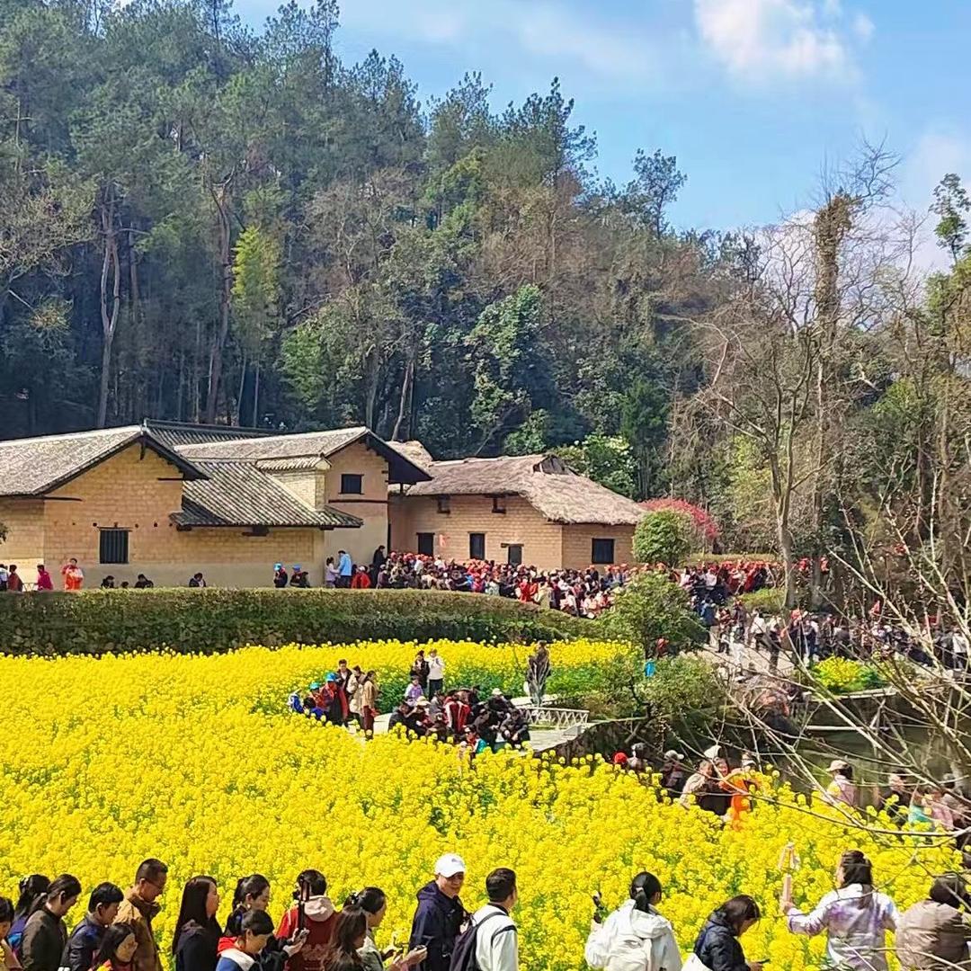 韶山随心游旅行社