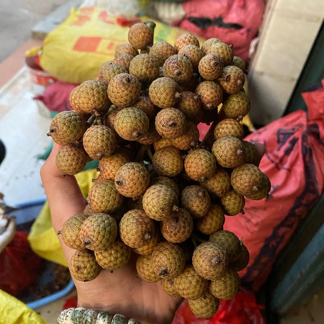 赚亿、精品河豚🐡