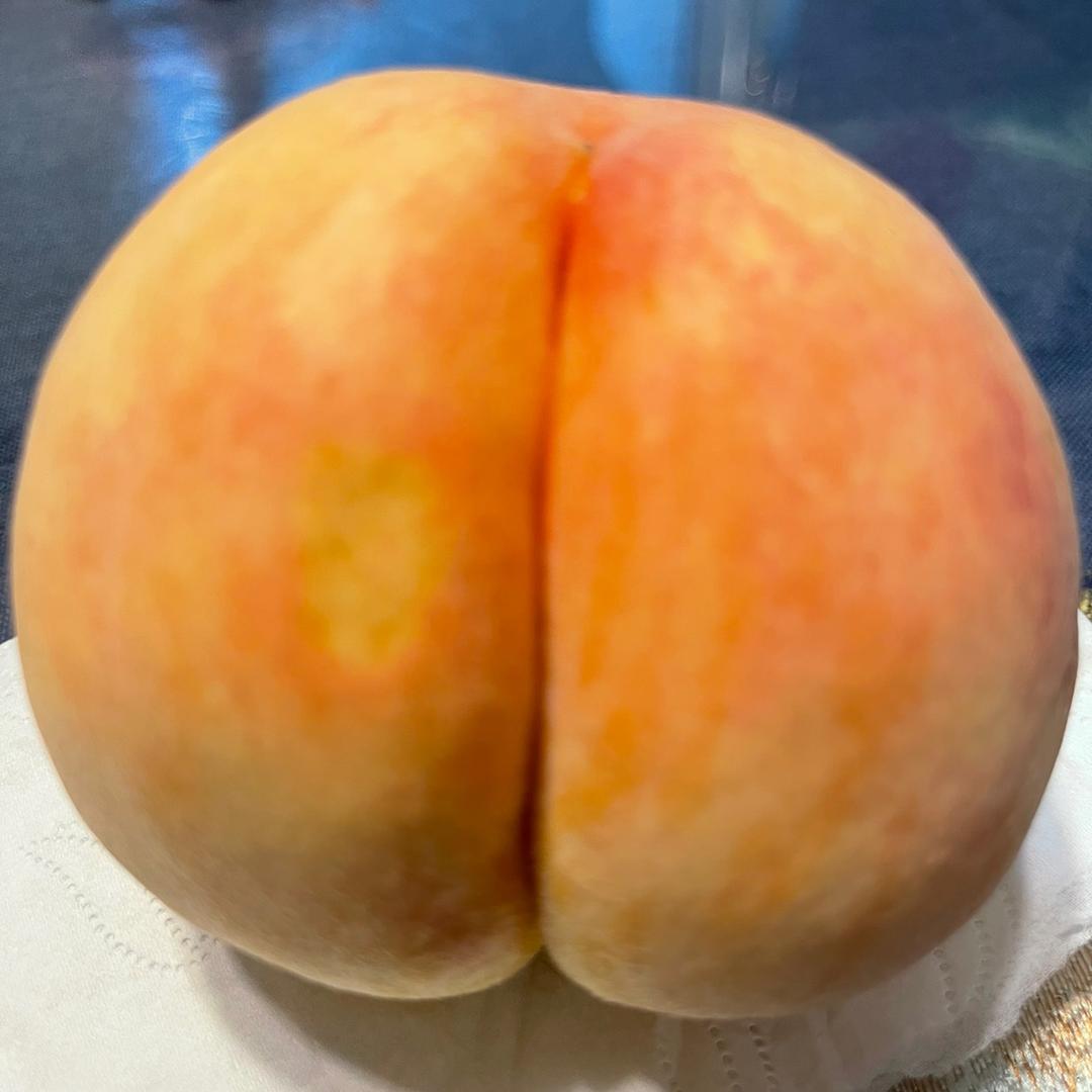 苏菲苏