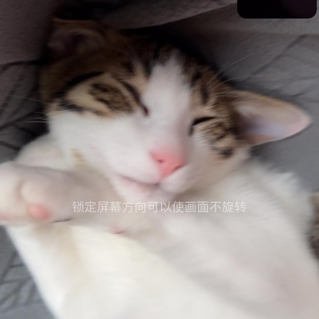 @-@