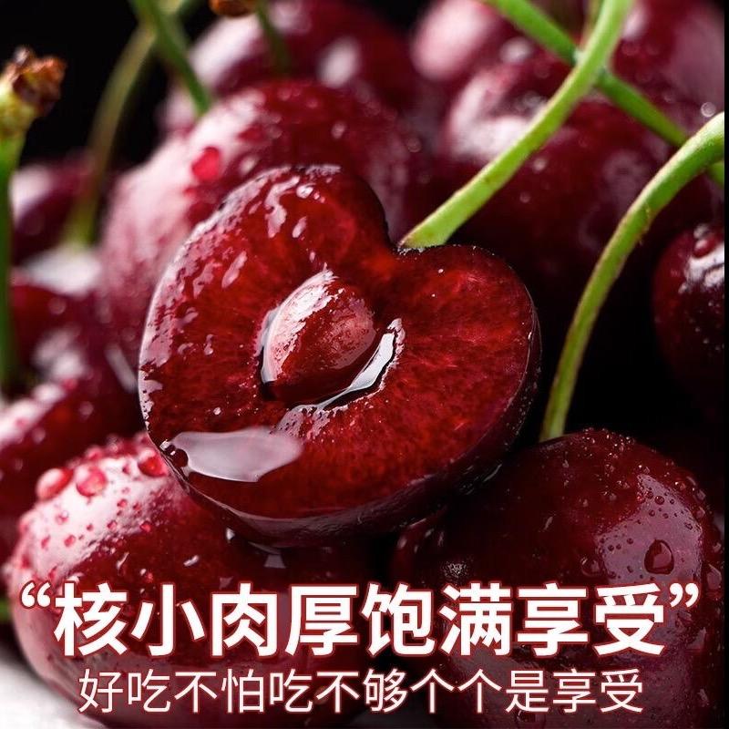 洽个切厘子吧