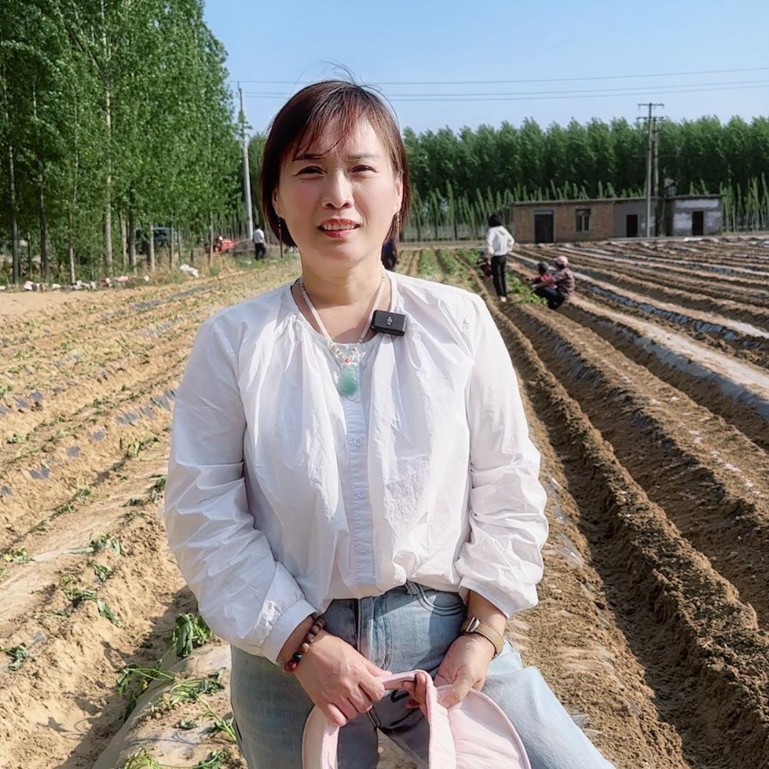 悦丰副食品集精选市集