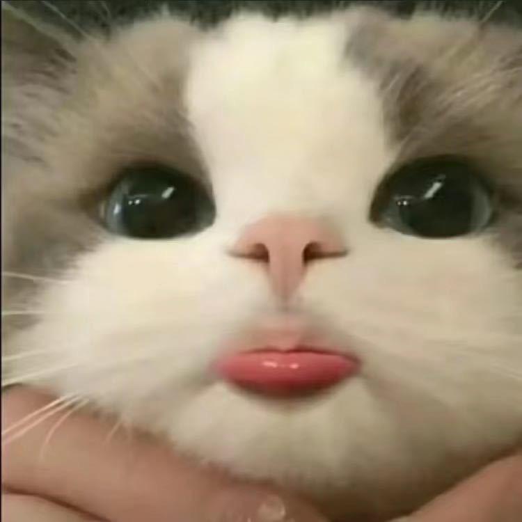 嘿嘿嘿😁
