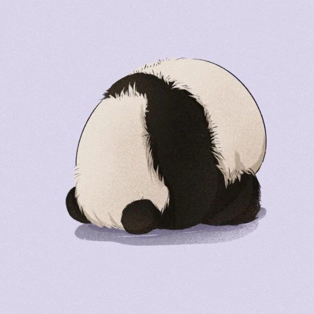 好好睡觉