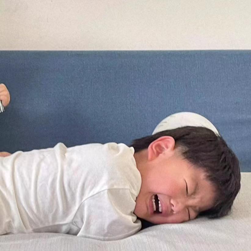 大王叫我来巡山💡💡