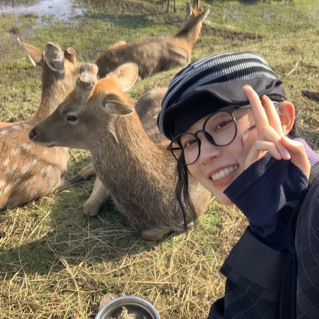 爱绿豆周o