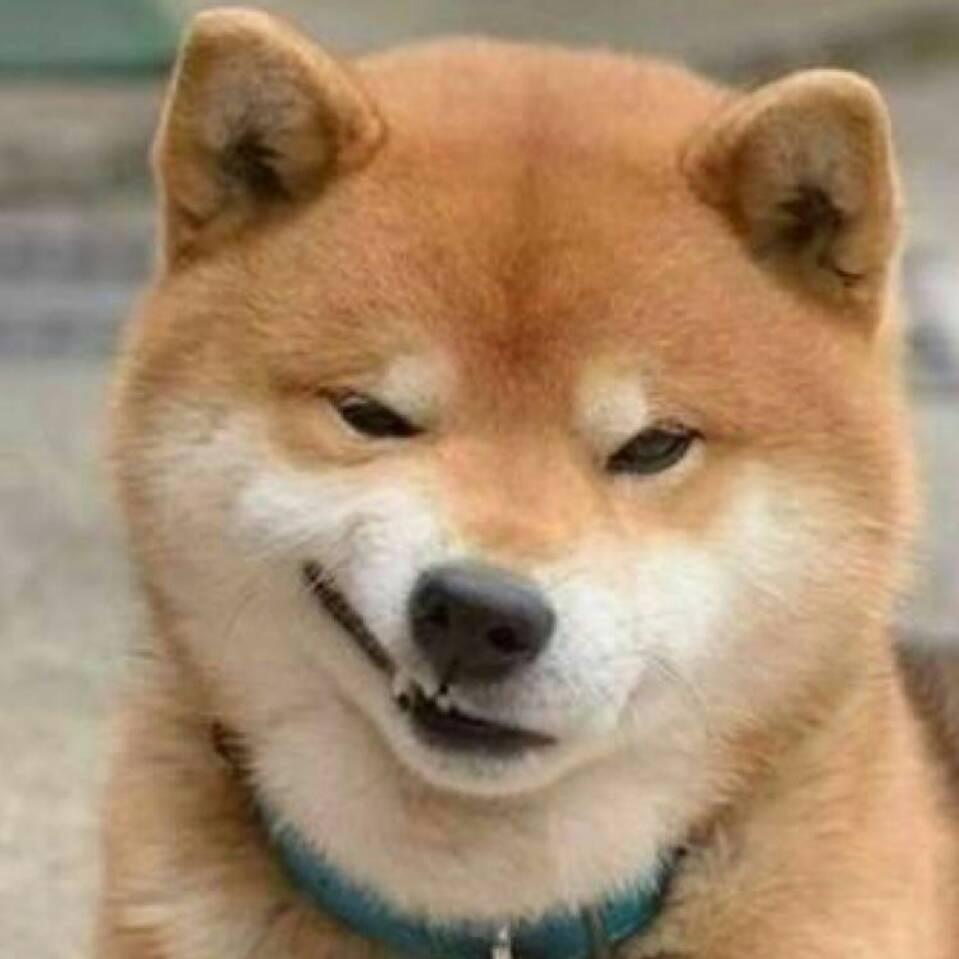 宁小姐