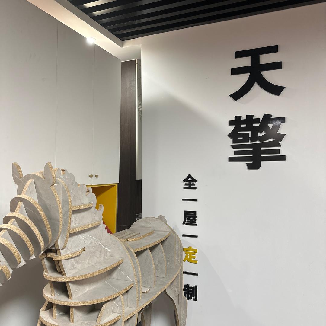 山东淄博天擎全屋定制