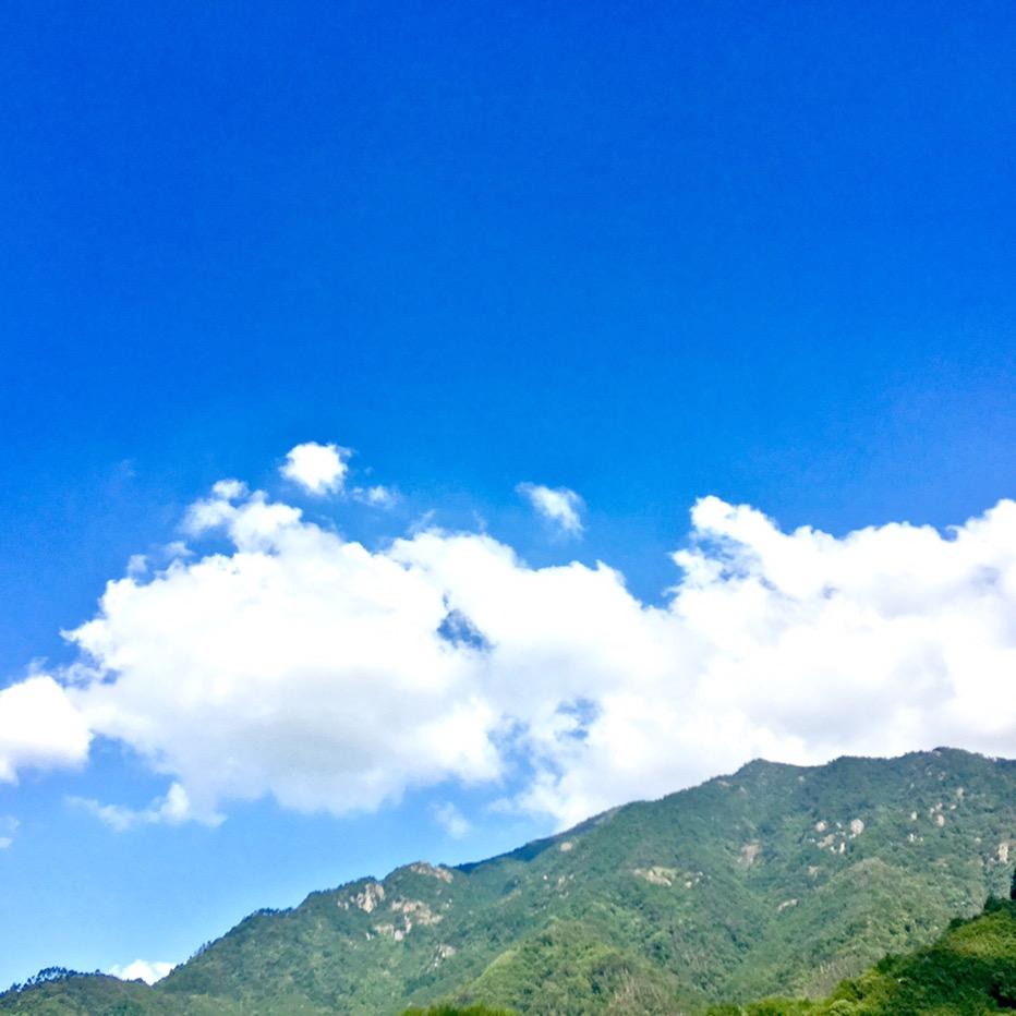 心善