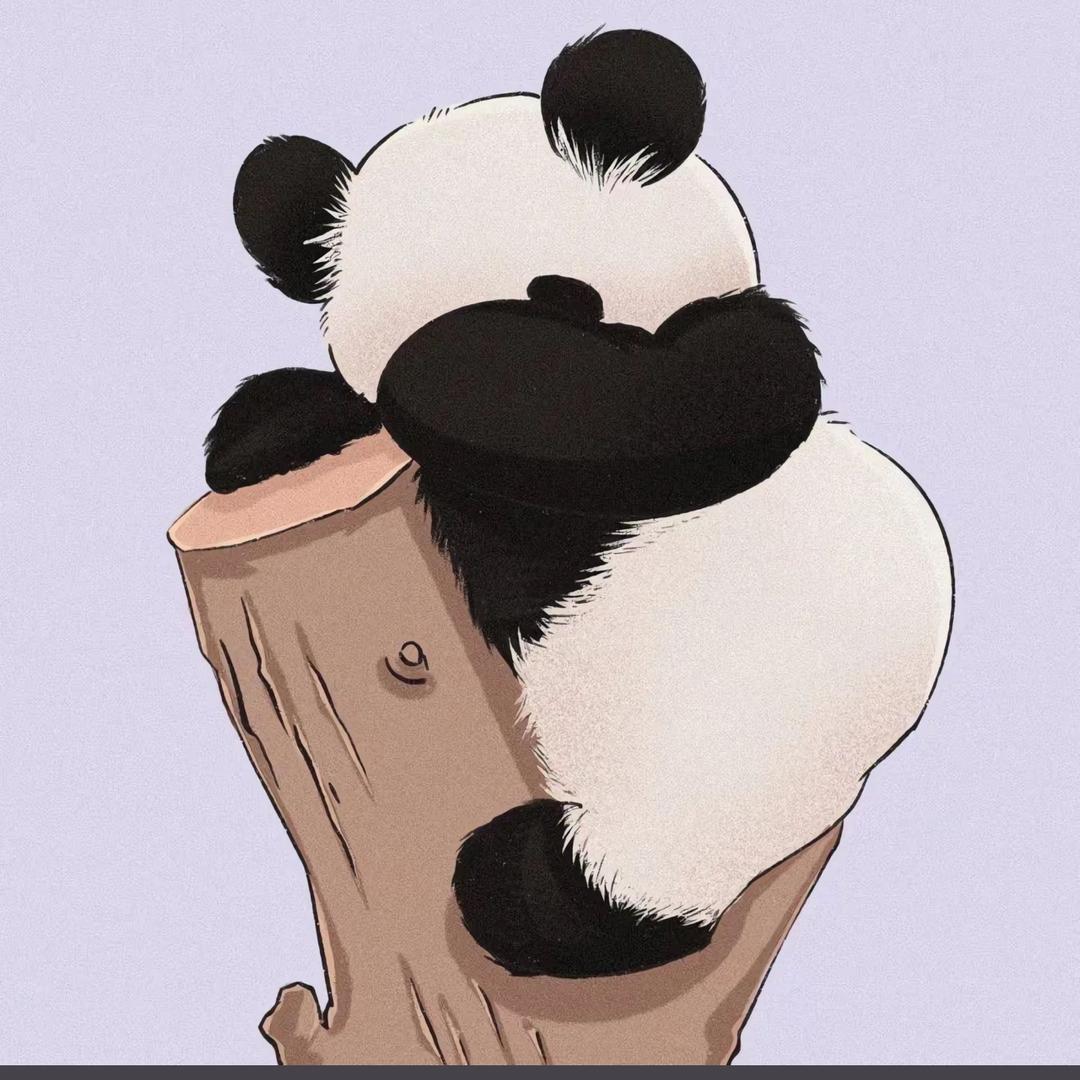 家养小熊猫🐼