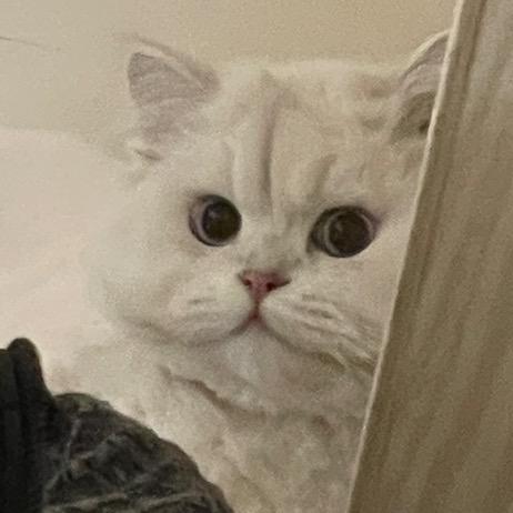 阿之（三角洲行动）