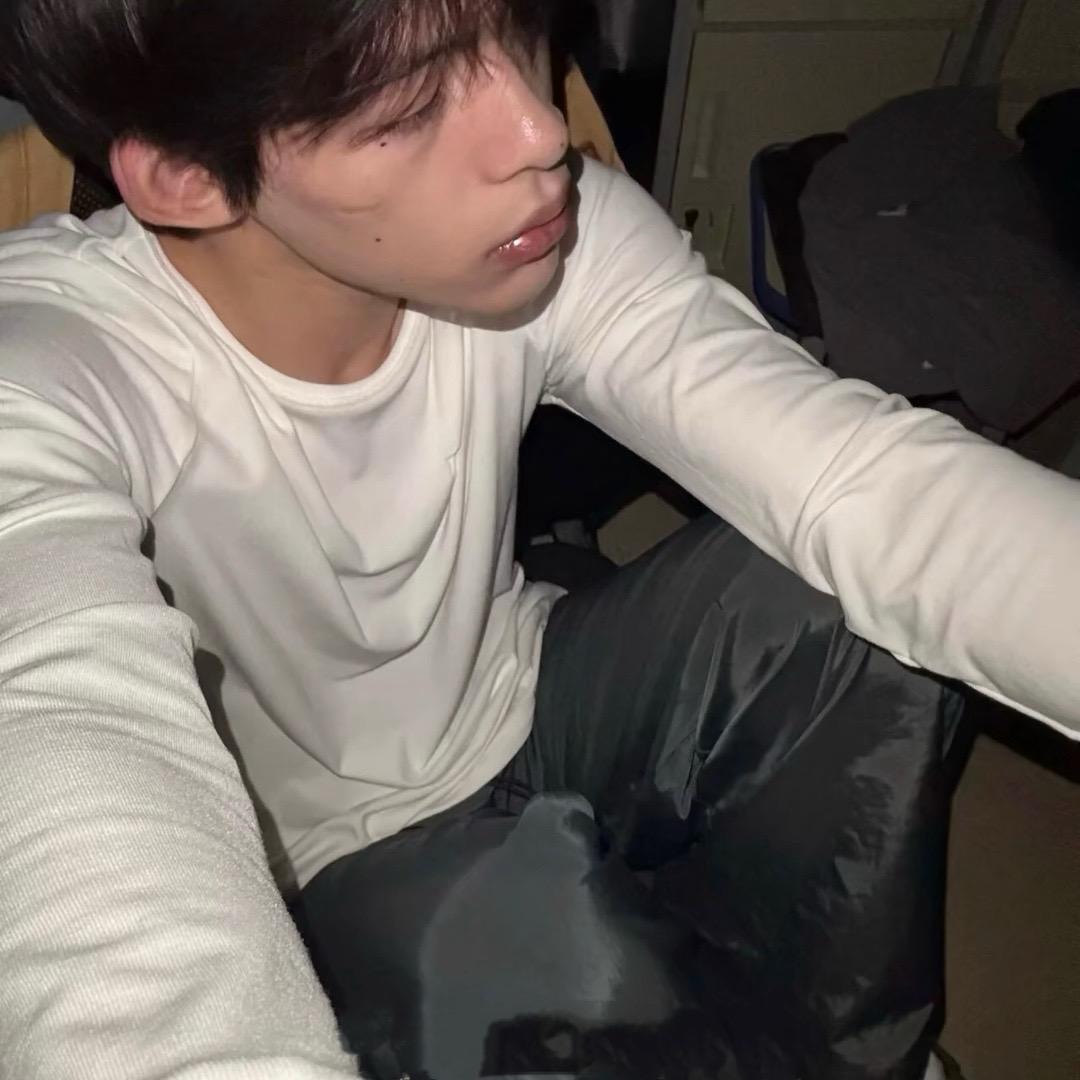 槲寄生