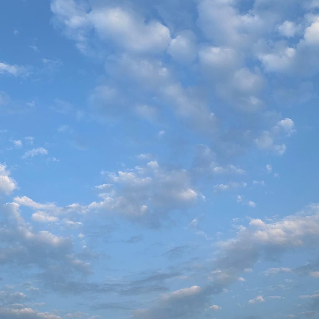 小赵饿了