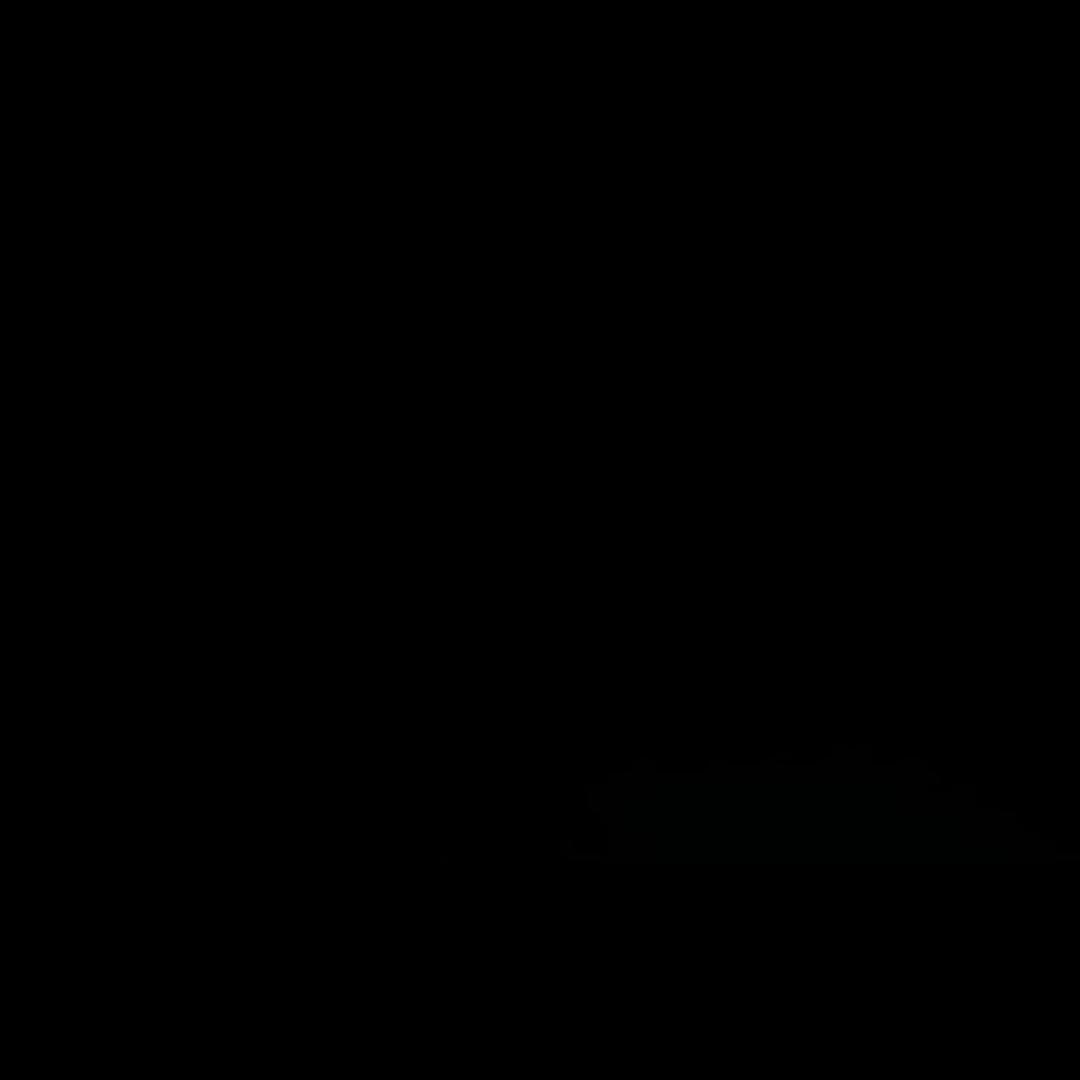 破碎的个体