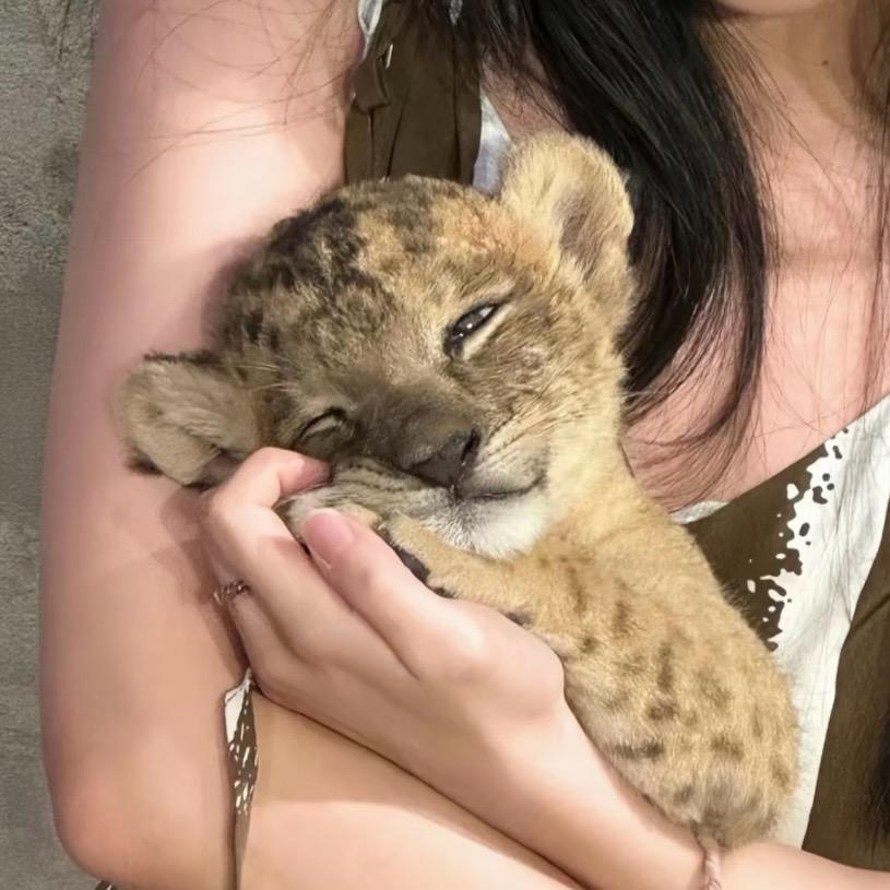 鲤鱼鱼鱼鱼