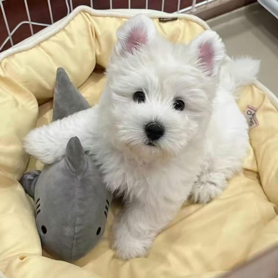 KIKI🎀