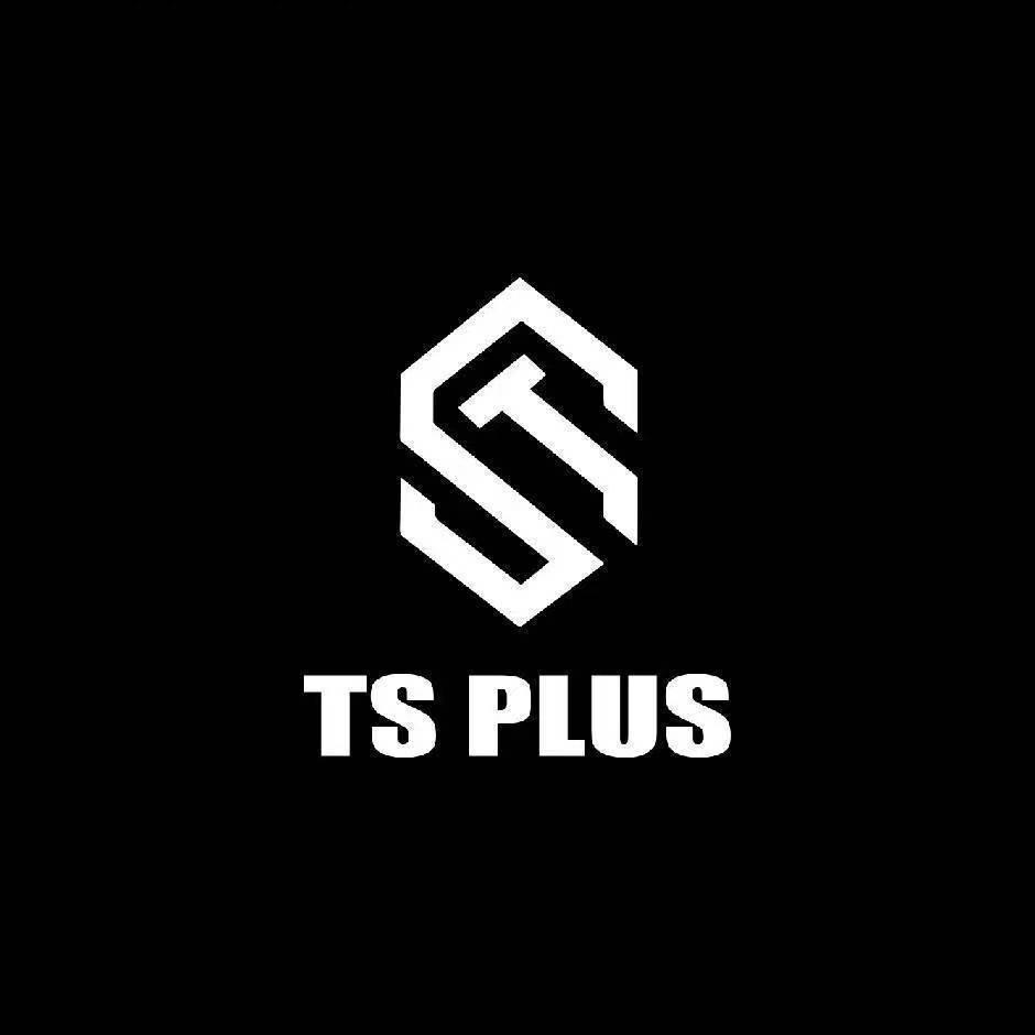 TS PLUS营销总监海豹