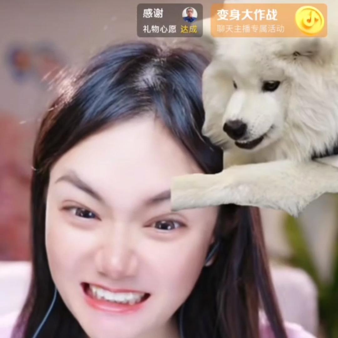 六六很温柔