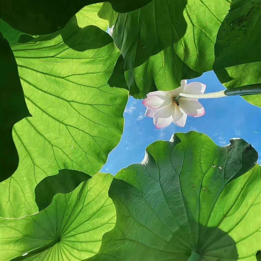 古希腊掌管风险的神