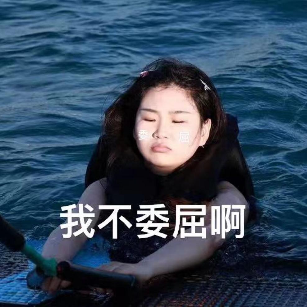 可爱猪♡（日更版