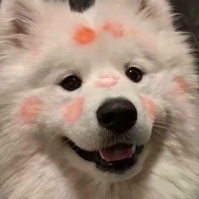 扶老奶奶闯红灯