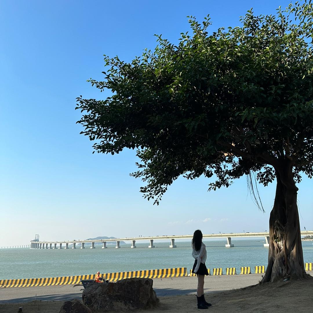德心酱干湖南手工麻辣零食店慧慧