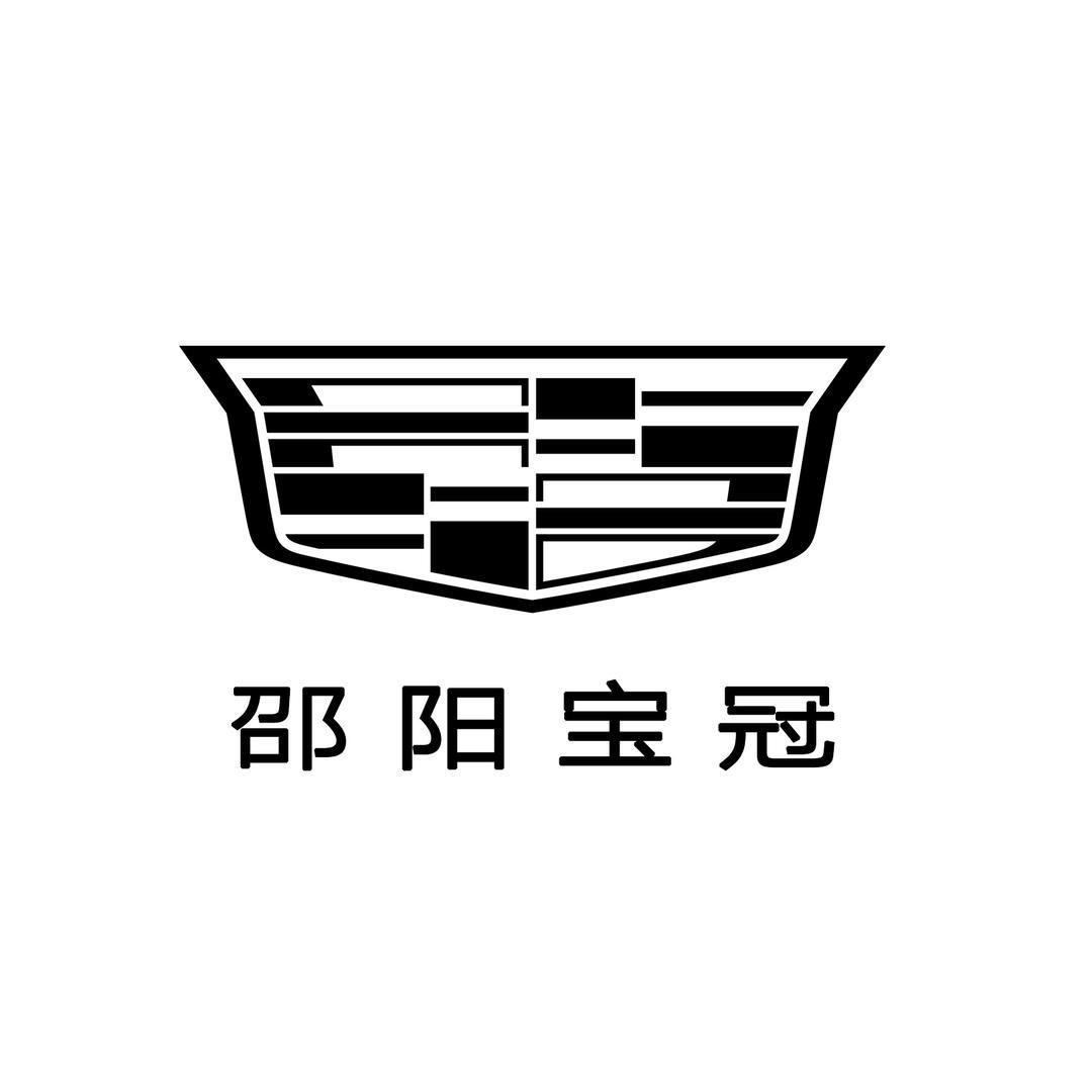 凯迪拉克-邵阳宝冠（邵阳直营店）