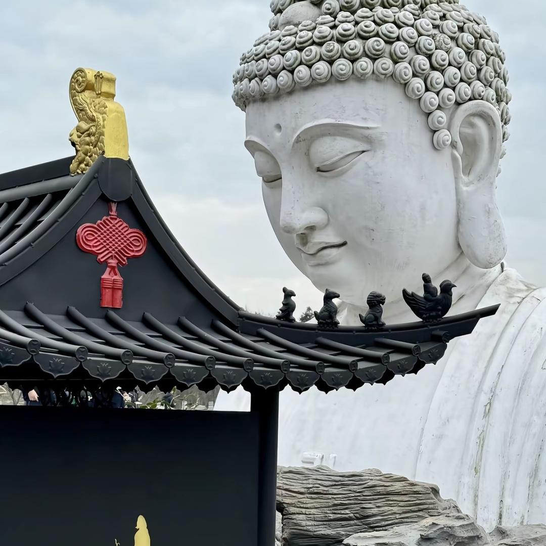 临朐挺好汽车销售服务有限公司