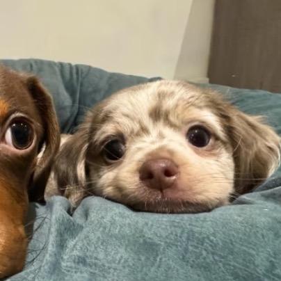 GoldS🗿❤️‍🔥💘