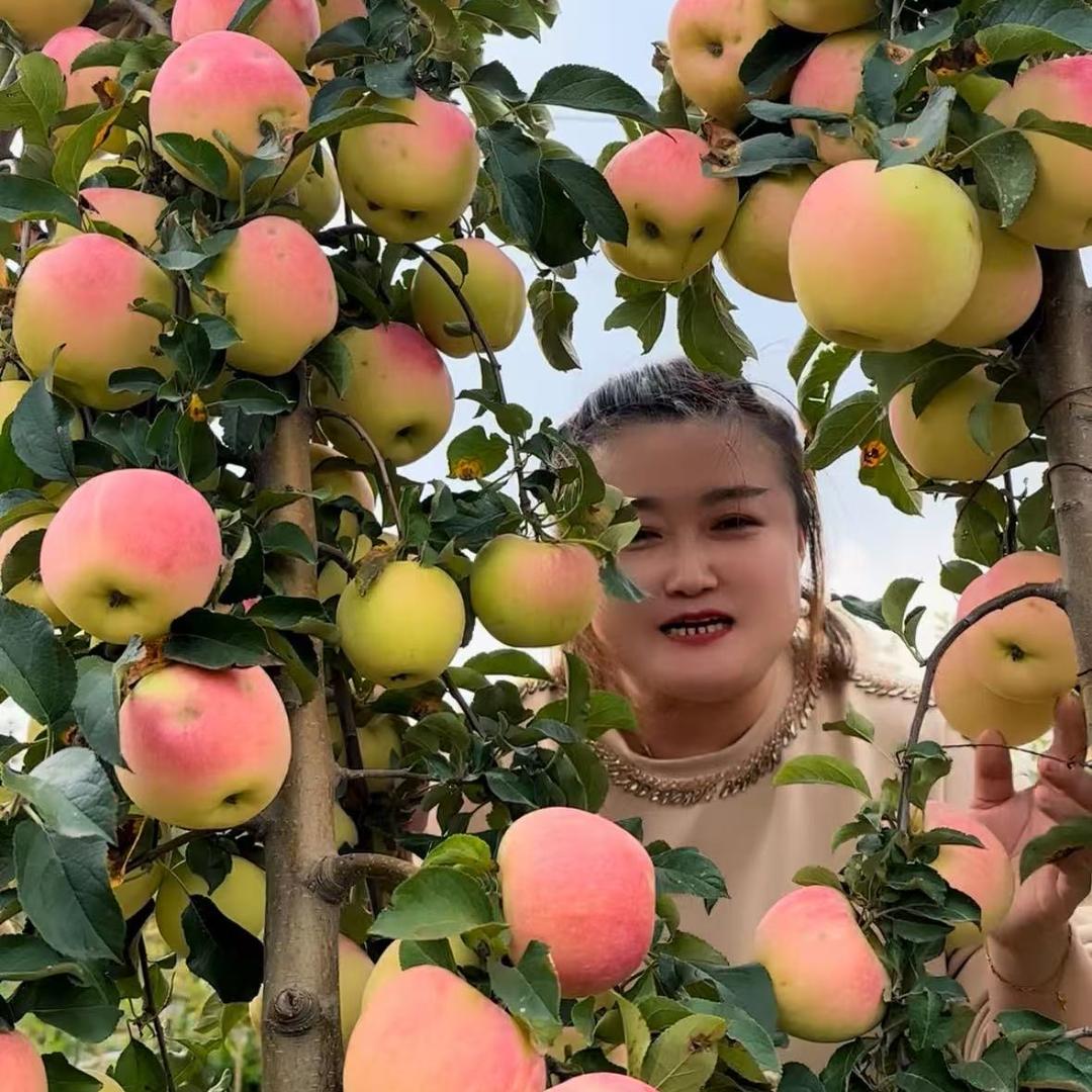 绿泰果树苗木专营店