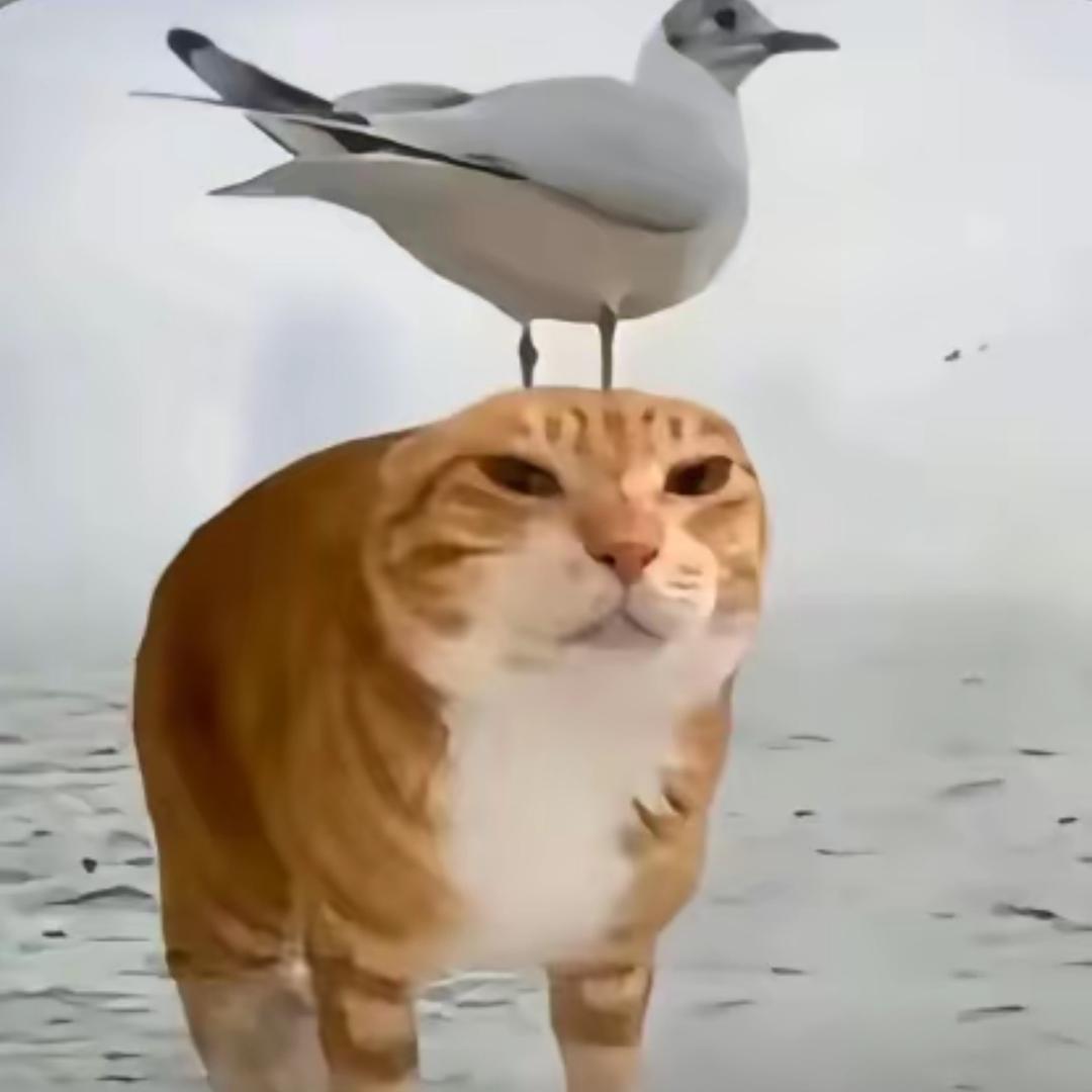 阿7