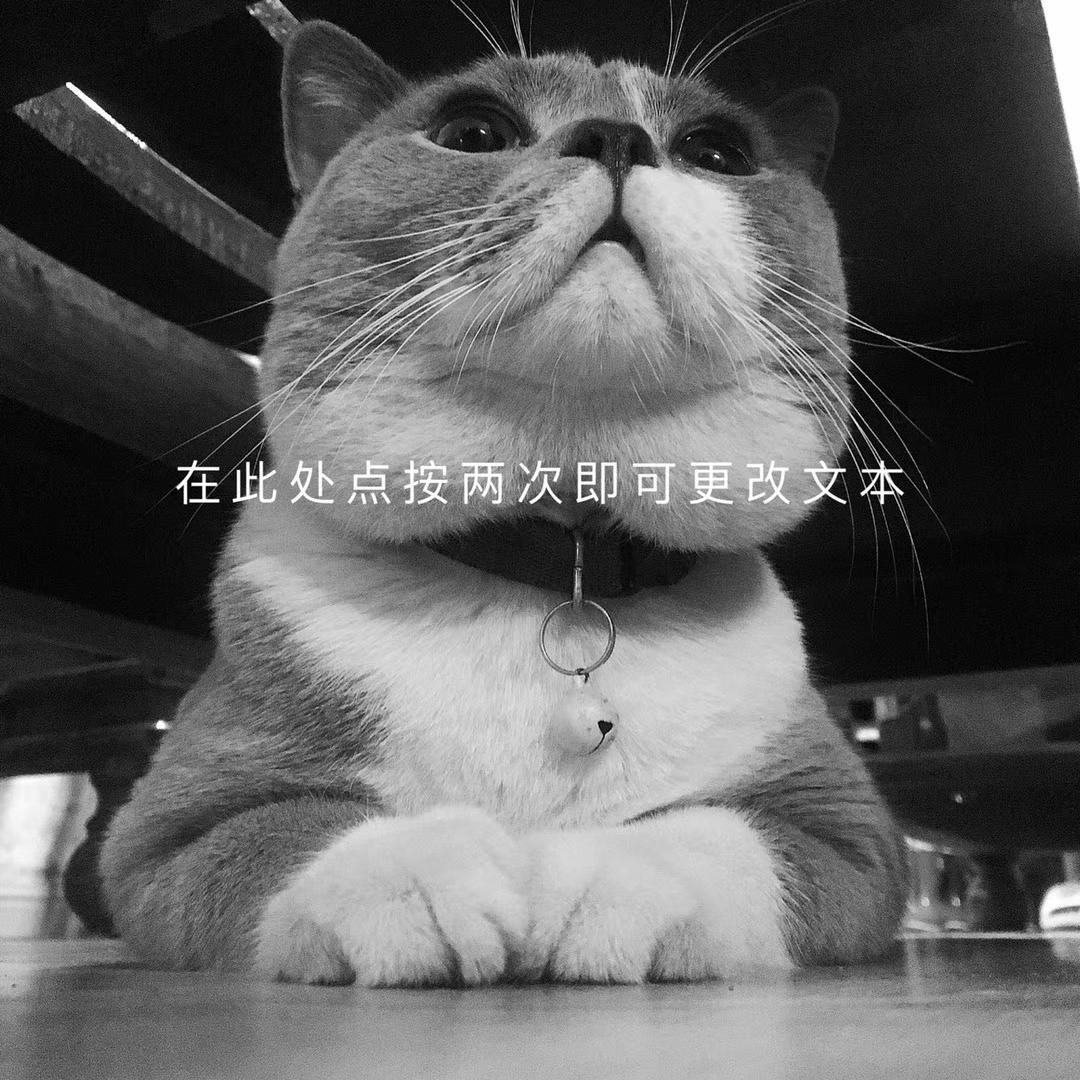 三七与贰拾一