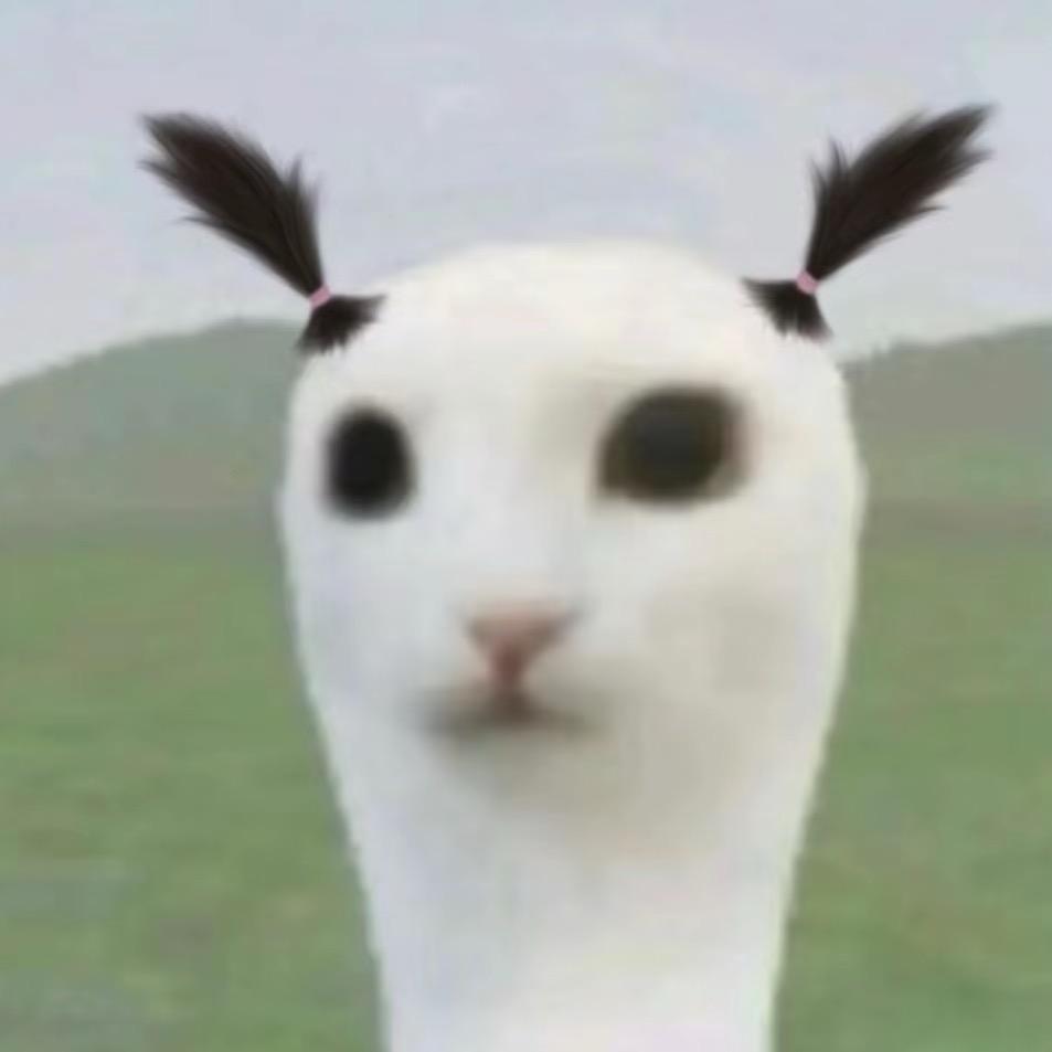 碰我我就喵🐱