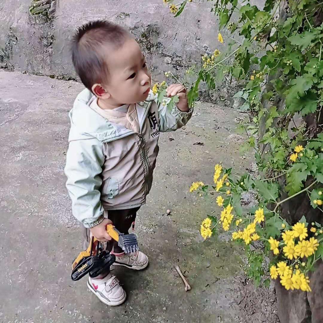 崽崽的成长记(有赞必回）