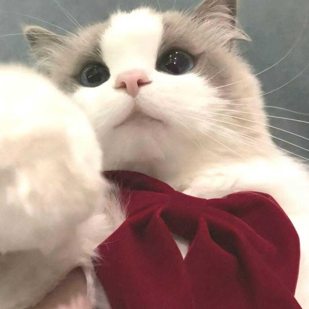 兔子抱紧胡萝卜