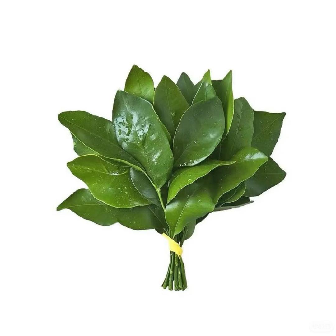 小蛋饺