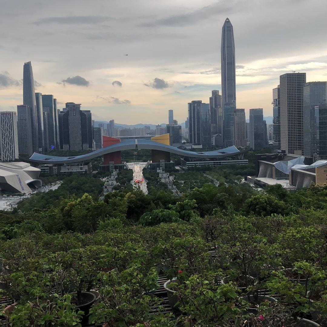 你的男朋友己经上线了