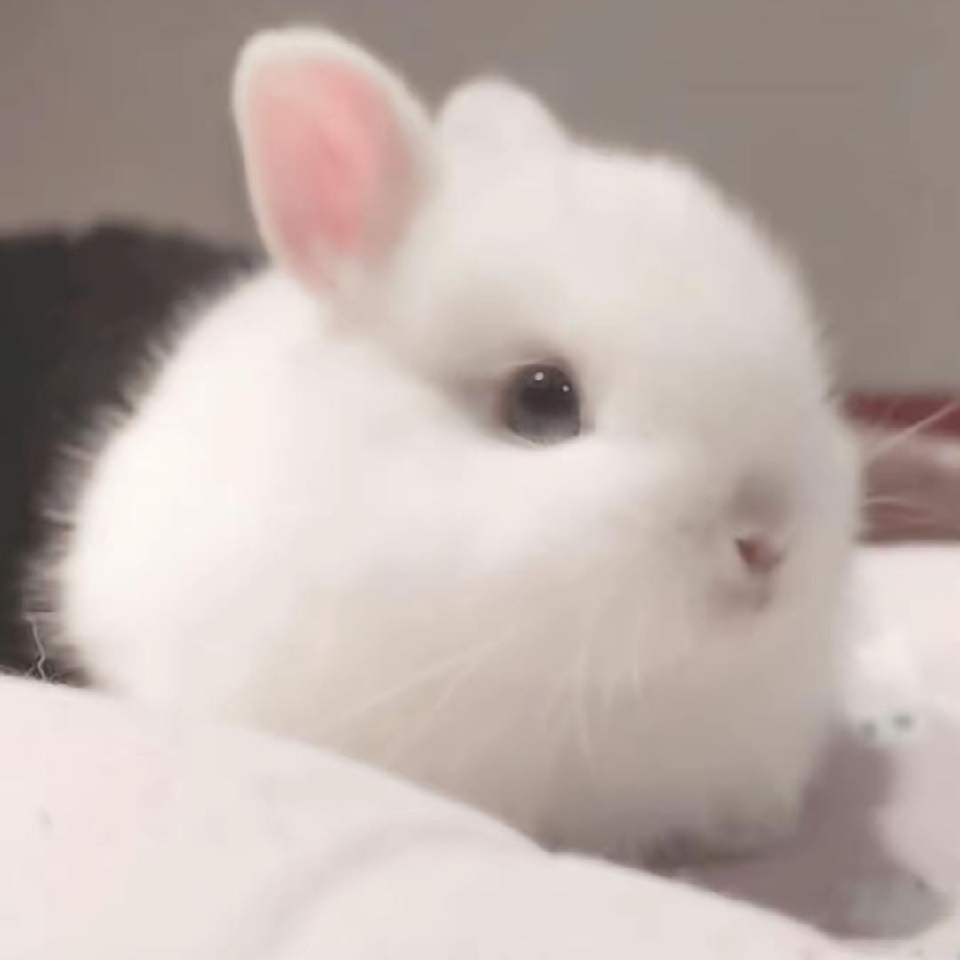 离过婚知道怎么疼老公