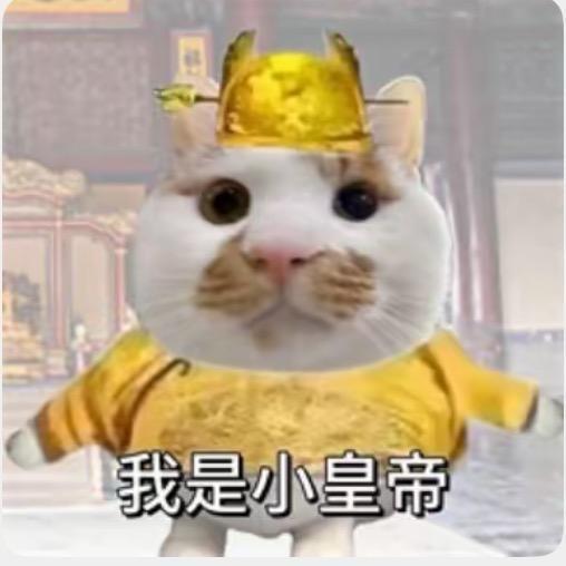小皇帝。
