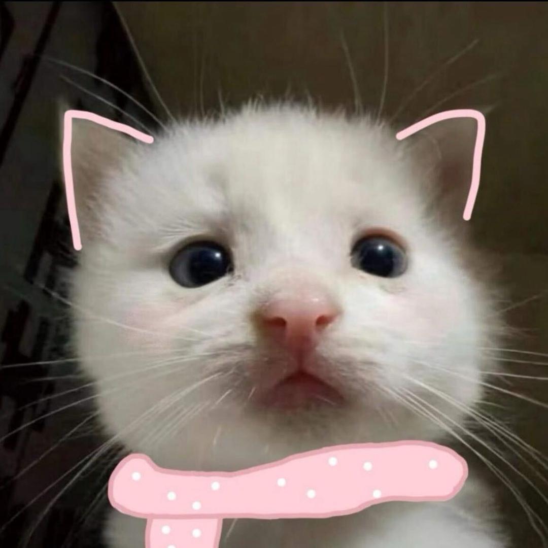 Keke（临期清货）