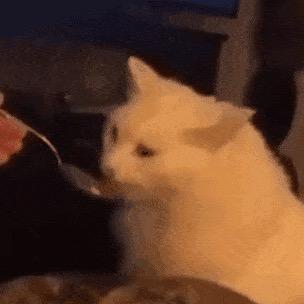 默默吃下八碗饭