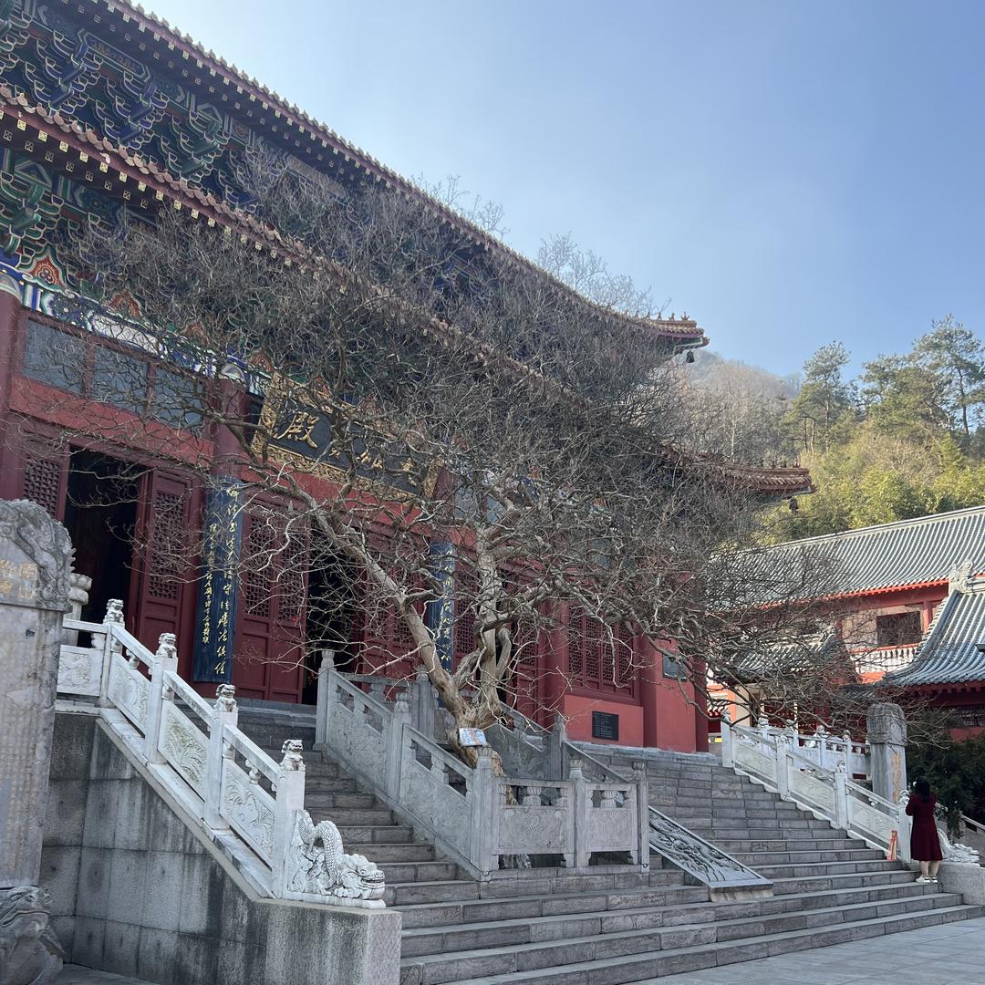 富华苗木种植专业合作社