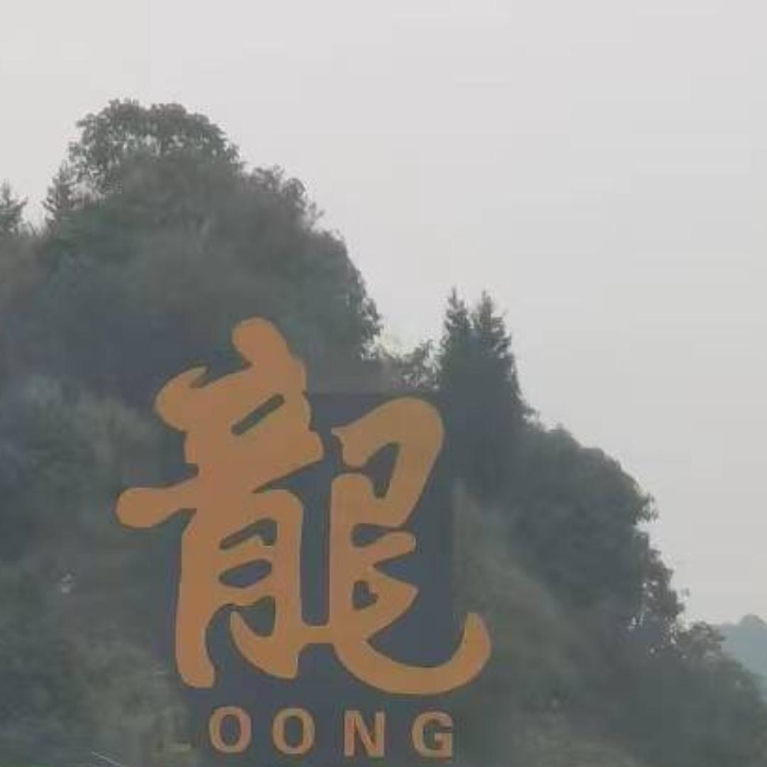 天使的羽毛